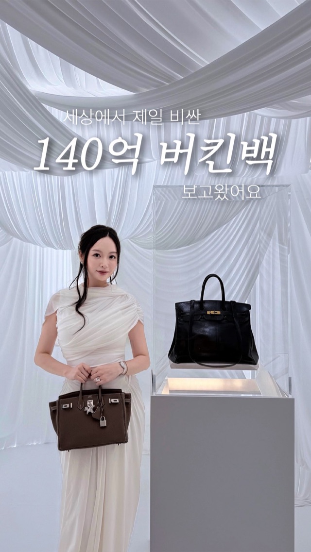 세상에서 가장 비싼 가방은 어떻게 생겼을까?